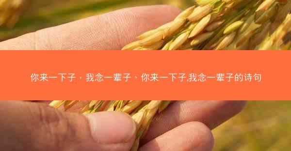 你来一下子，我念一辈子、你来一下子,我念一辈子的诗句