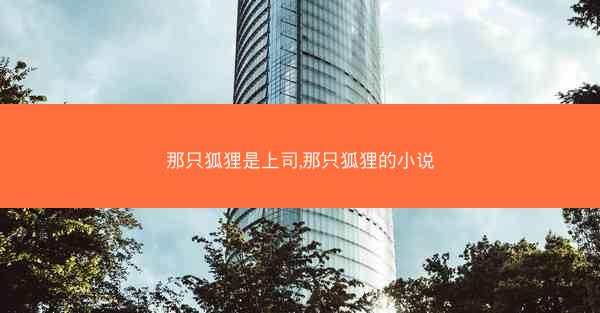 那只狐狸是上司,那只狐狸的小说