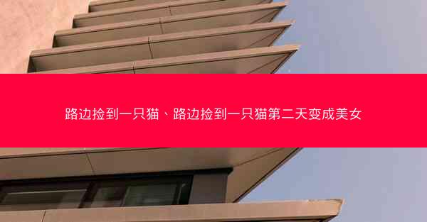 路边捡到一只猫、路边捡到一只猫第二天变成美女