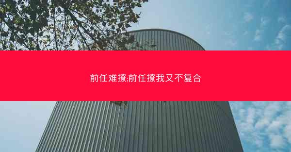 前任难撩;前任撩我又不复合