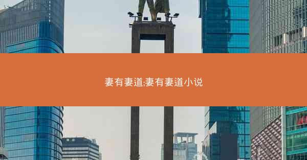 妻有妻道;妻有妻道小说