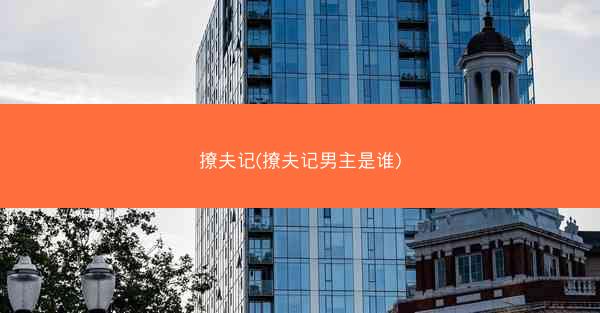 撩夫记(撩夫记男主是谁)
