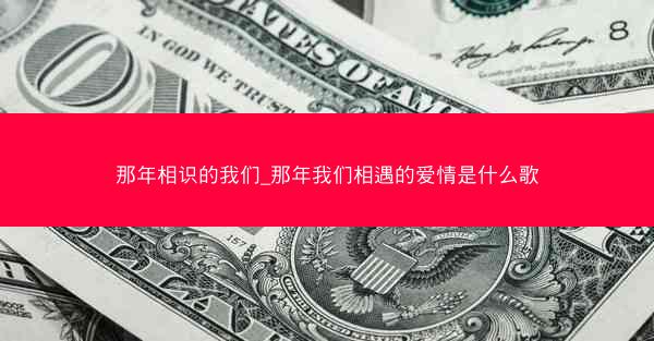 那年相识的我们_那年我们相遇的爱情是什么歌
