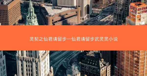 灵契之仙君请留步—仙君请留步武灵灵小说