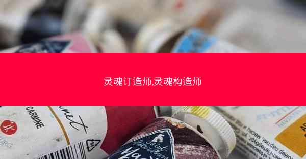 灵魂订造师,灵魂构造师