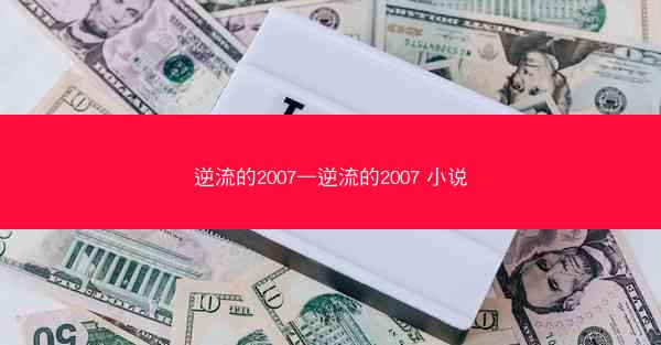 逆流的2007—逆流的2007 小说