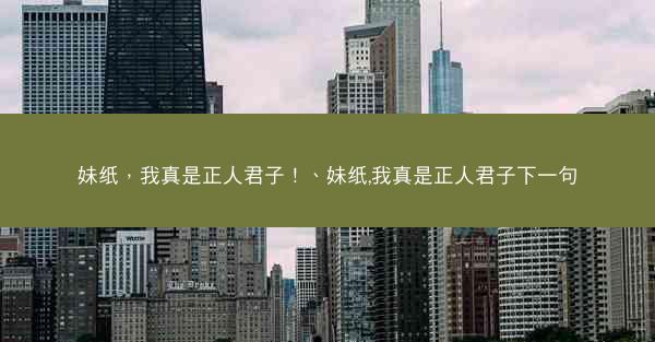 妹纸，我真是正人君子！、妹纸,我真是正人君子下一句
