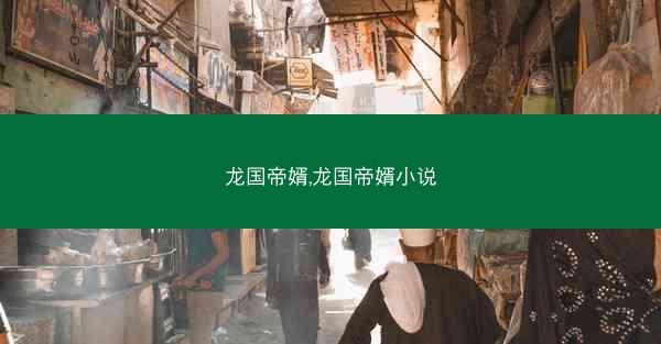 龙国帝婿,龙国帝婿小说
