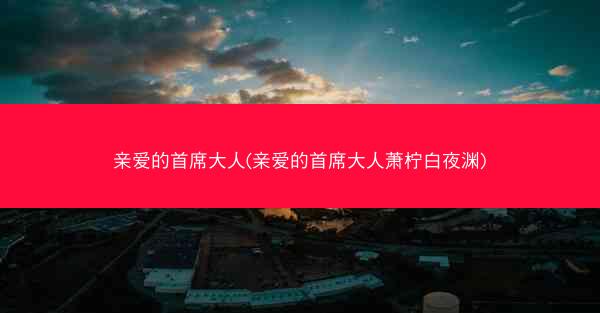 亲爱的首席大人(亲爱的首席大人萧柠白夜渊)