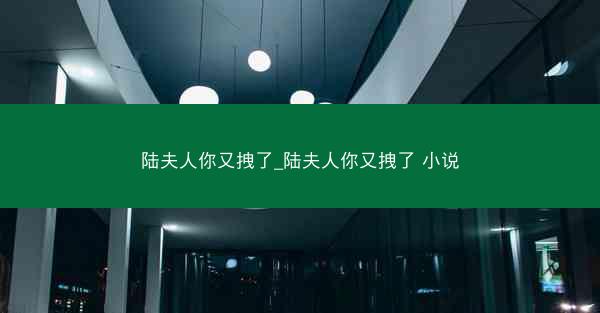 陆夫人你又拽了_陆夫人你又拽了 小说