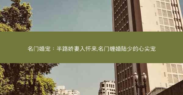 名门婚宠：半路娇妻入怀来,名门缠婚陆少的心尖宠