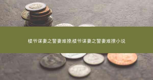 楼爷谋妻之警妻难撩;楼爷谋妻之警妻难撩小说