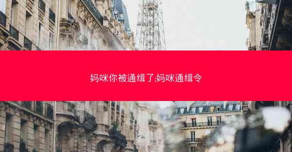 妈咪你被通缉了;妈咪通缉令