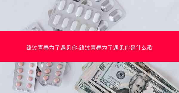 路过青春为了遇见你-路过青春为了遇见你是什么歌