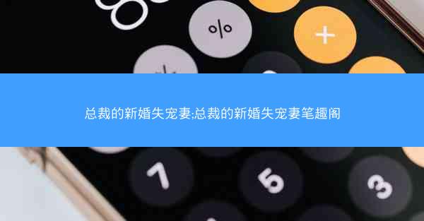 总裁的新婚失宠妻;总裁的新婚失宠妻笔趣阁