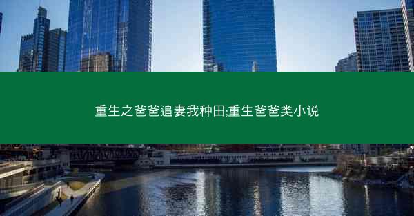 重生之爸爸追妻我种田;重生爸爸类小说