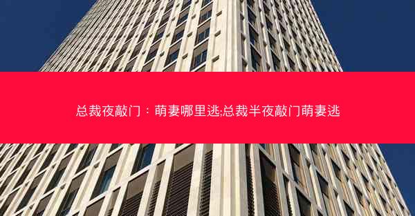 总裁夜敲门：萌妻哪里逃;总裁半夜敲门萌妻逃