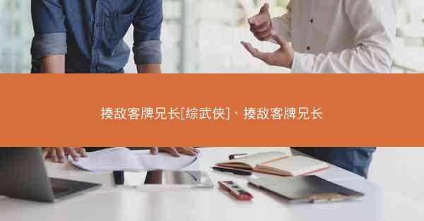 揍敌客牌兄长[综武侠]、揍敌客牌兄长