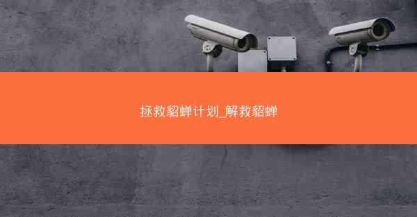 拯救貂蝉计划_解救貂蝉