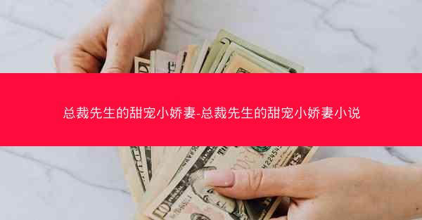 总裁先生的甜宠小娇妻-总裁先生的甜宠小娇妻小说