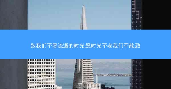 致我们不愿流逝的时光;愿时光不老我们不散,致