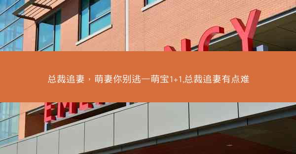 总裁追妻，萌妻你别逃—萌宝1+1,总裁追妻有点难