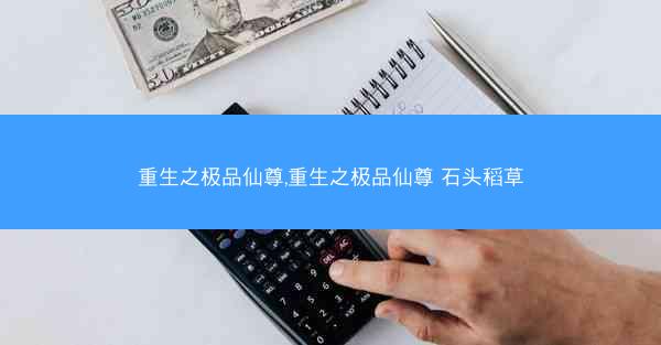 重生之极品仙尊,重生之极品仙尊 石头稻草