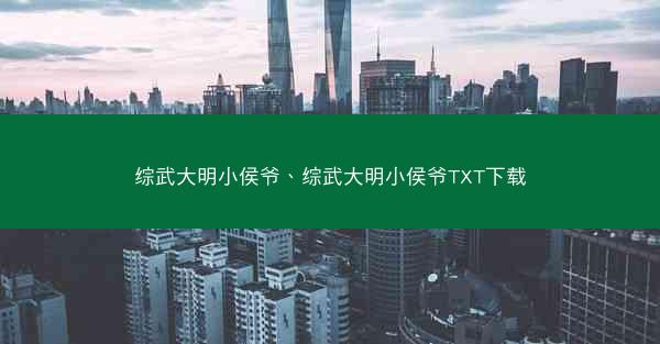 综武大明小侯爷、综武大明小侯爷TXT下载