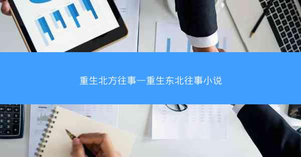 重生北方往事—重生东北往事小说