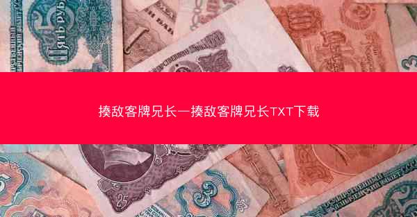 揍敌客牌兄长—揍敌客牌兄长TXT下载
