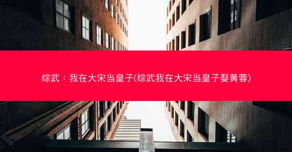 综武：我在大宋当皇子(综武我在大宋当皇子娶黄蓉)