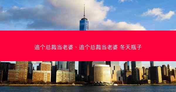 追个总裁当老婆、追个总裁当老婆 冬天瓶子