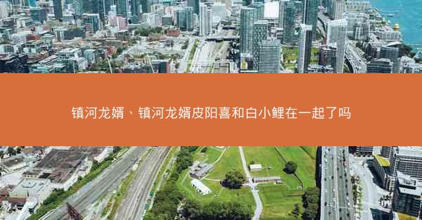 镇河龙婿、镇河龙婿皮阳喜和白小鲤在一起了吗