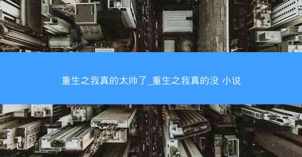 重生之我真的太帅了_重生之我真的没 小说