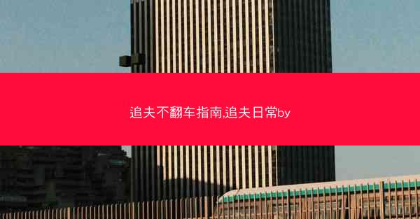 追夫不翻车指南,追夫日常by