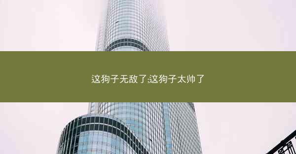 这狗子无敌了;这狗子太帅了
